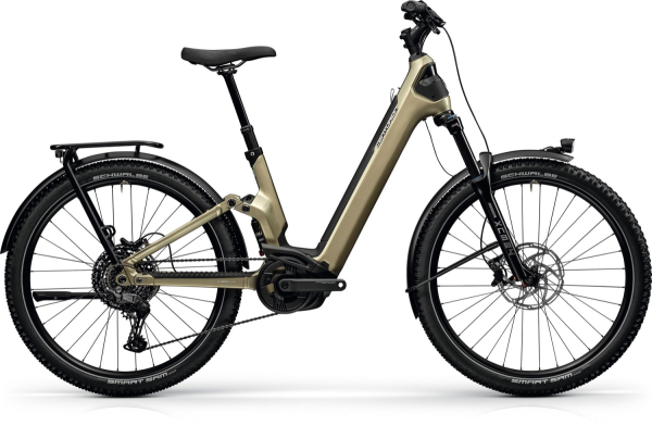 Trekking E-Bike